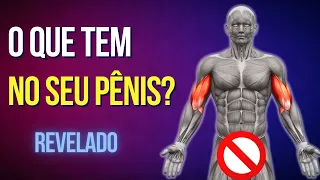Veja as partes importantes do Pênis? [Prazer, dor e orientações práticas]