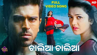  chalia chalia odia dubbed video song rana pratap full song hd ram charan kajal