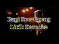 Lirik Karaoke Rugi Ree_Ogeng