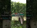Download Lagu Dari bapak kita belajar #trending#shorts