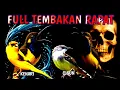 Download Lagu yang lagi viral di TIKTOK masteran sogon full tembakan rapat materi isian mewah