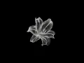 Confident - Justin Bieber ft. Chance The Rapper (sped up)