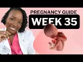 35 Weeks Pregnant Here s What No One Tells You But You Need to Know