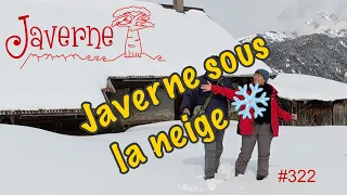 #322 Javerne sous la neige