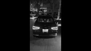 شفت من حبهم مذله 