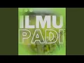 Download Lagu Ilmu Padi