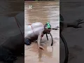 Download Lagu Insane scuba diving technology 🤷😂🤿                     🎥: Lucid Odhis via ViralHog