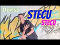 Download Lagu Dansa Terbaru 2025 || STECU STECU || Fendi Loasana Cover