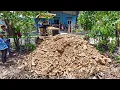 Download Lagu Wonderful Start New Project!! Filling Land By Bulldozer Push soil With 5Ton Trucks