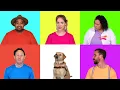 Animal Songs - The Quokkas | 8 minutes of animal songs | Kids song collection | Sing and dance