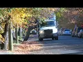4 options available as leaf collection begins in Richmond on Monday