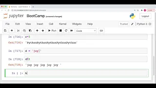 009 Python String Multiplication Operator