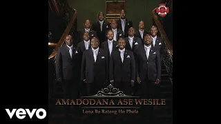 amadodana ase wesile phaya ezinkwenkwezini