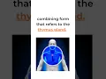 Medical Terminology Combining Form -
