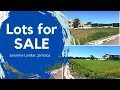 Download Lagu Residential Lots for Sale - Palms at Paradise Savanna-La-Mar, Jamaica
