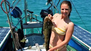 LAND OF PLENTY Fish, Wind and Uncharted Shoals!!! – Free Range Sailing Ep 125