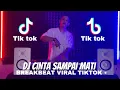 Download Lagu DJ CINTA SAMPAI MATI BREAKBEAT VIRAL TIKTOK Remix Terbaru Full Bass 2022