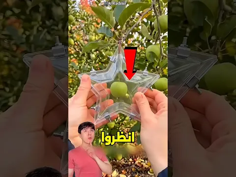 التحدي المستحيل😮⁉️#قطط_تيك_توك#محبي_القطط #قطة #لطيفة #قطط_مضحكة#رسوم متحركة للقطط