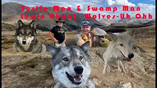 Turtle Man Swamp Man Learn the Facts on Wolves in Colorado LIVE ACTION is Here