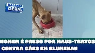 Homem é preso por maus-tratos contra cães em Blumenau