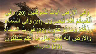 الإعجاز العلمي في القرآن الكريم شرح بسيط و واضح جدا 3 و في أنفسكم أفلا تبصرون 