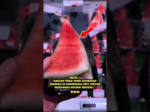 Apa😱,Siapa Sangka Cuy⁉️