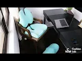 Cushion Lab Game-Changing Comfort Bundle