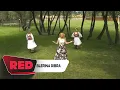 Download Lagu Blerina Dibra - Hasi jonë