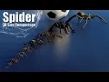 Spider 3D Size Comparison