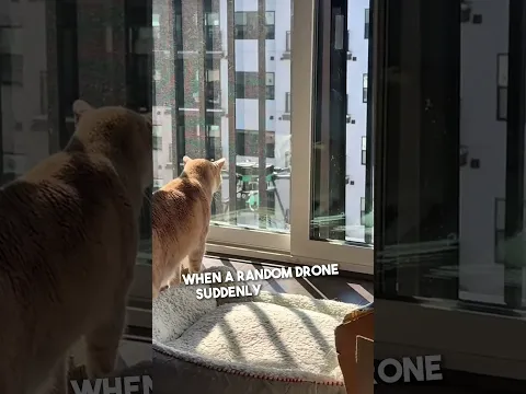 This drone flew up to her window 😱