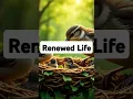 Download Lagu This morning prayer will renew your life #morningprayer  #Renewyourlife #dailyprayer  #christian