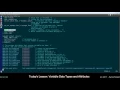 Variable Data Types and Attributes
