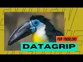 Get Started with JetBrains DATAGRIP A Professional Database Management Tool for ANY DATABASE