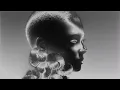 Faded Eyes - Zerb