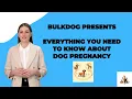 Dog Pregnancy Calculator Everything You Need To Know About Dog Pregnancy