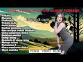 Lagu Terlalu Shinta Arshinta Full Album Terbaru || Goyang Esek Esek || koplo kendang rampak