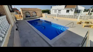                       دندنها