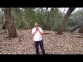 Patthar ke sanam tujhe hamne...…।                        on harmonica by Kamal Sharma.