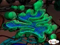 Golgi Apparatus - Structure and function of Golgi body