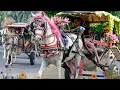 Download Lagu Kuda Delman - Lagu Anak Populer Naik Delman Istimewa