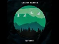 My Way - Calvin Harris