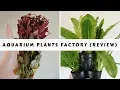 Aquarium Plants Factory - My review