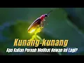 Download Lagu Kunang-Kunang: Dulu Ada di Mana-mana, Sekarang Langka