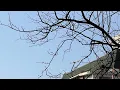 [playlist] 한 주간 잘 버틴 당신과 나에게, 가사없는 음악, 어쿠스틱