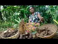Download Lagu Here are some simple snacks made from baked taro root for evening tea. .village kitchen recipe