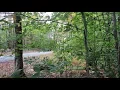 For Sale 3 9 ACRES of HAPPY TRAILS NY Sullivan County