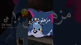 قال ايه راجعين بدموعهم لسه مزهقوش من تمثيلهم حالات واتس 