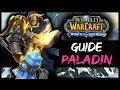WOTLK CLASSIC GUIDE PALADIN
