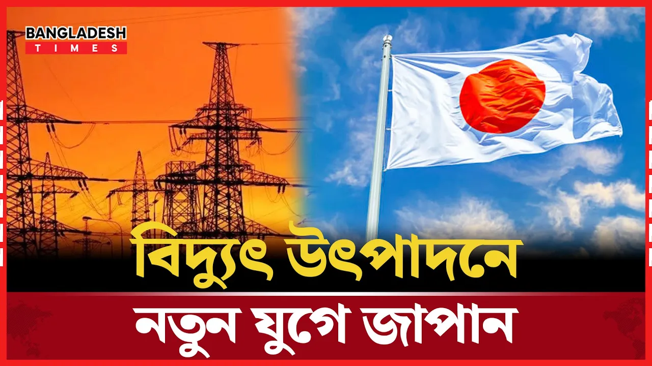 জাপানের  ৮৫ শতাংশ বিদ্যুৎ চাহিদা মেটাবে সোলার প্যানেল