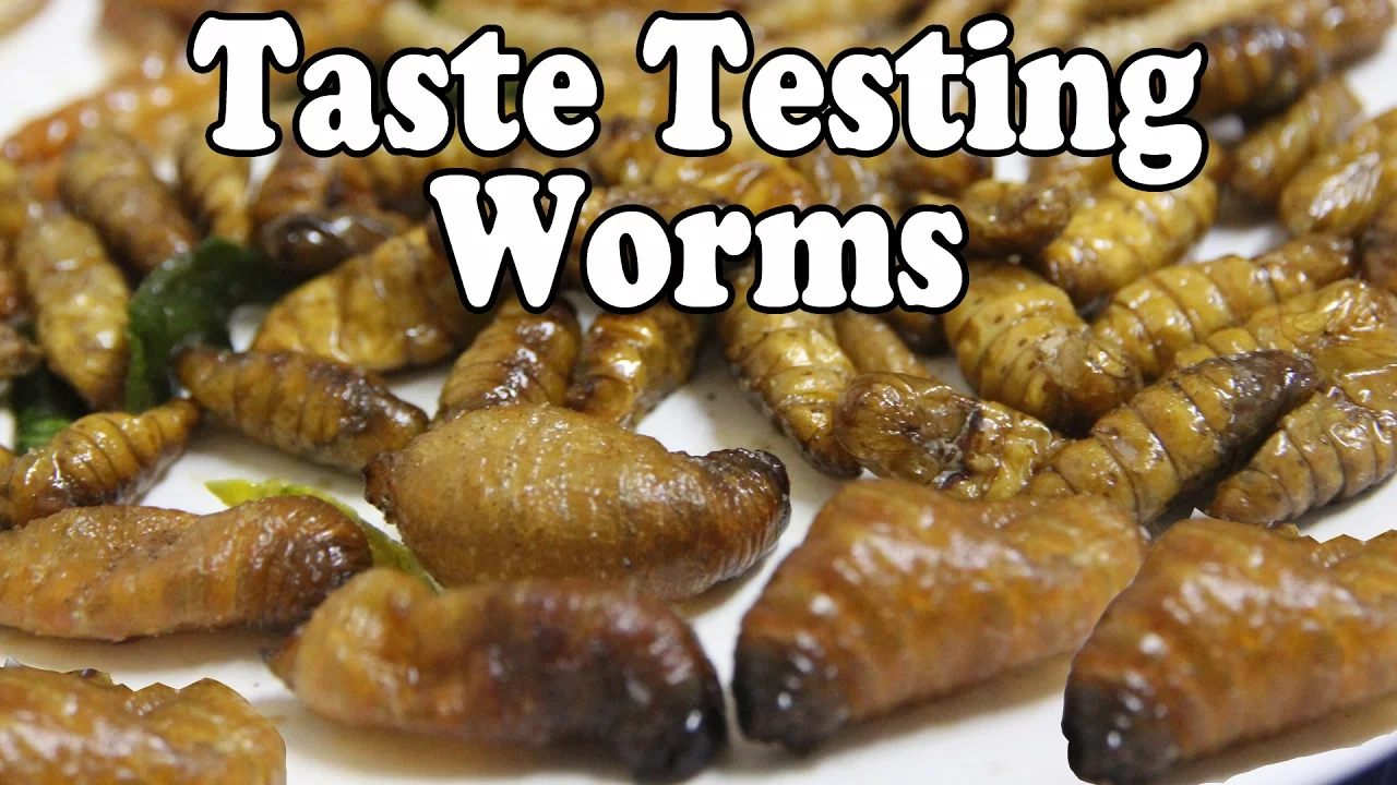 Taste Testing Worms at a Night Market in Thailand. Eating Bugs.